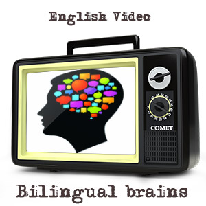 Bilingual brains